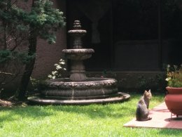 Imagen de claudia Medina